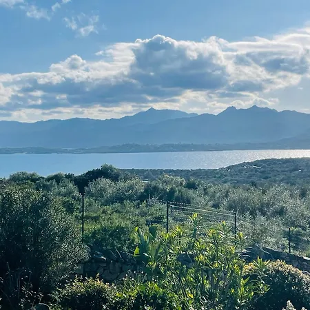 Vista Mare San Teodoro Coda Cavallo *